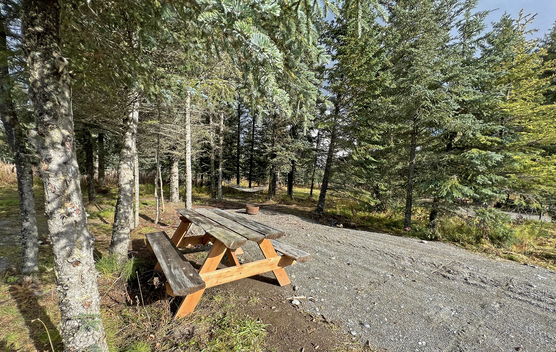 Blue Spruce Campground, Ninilchik, Alaska