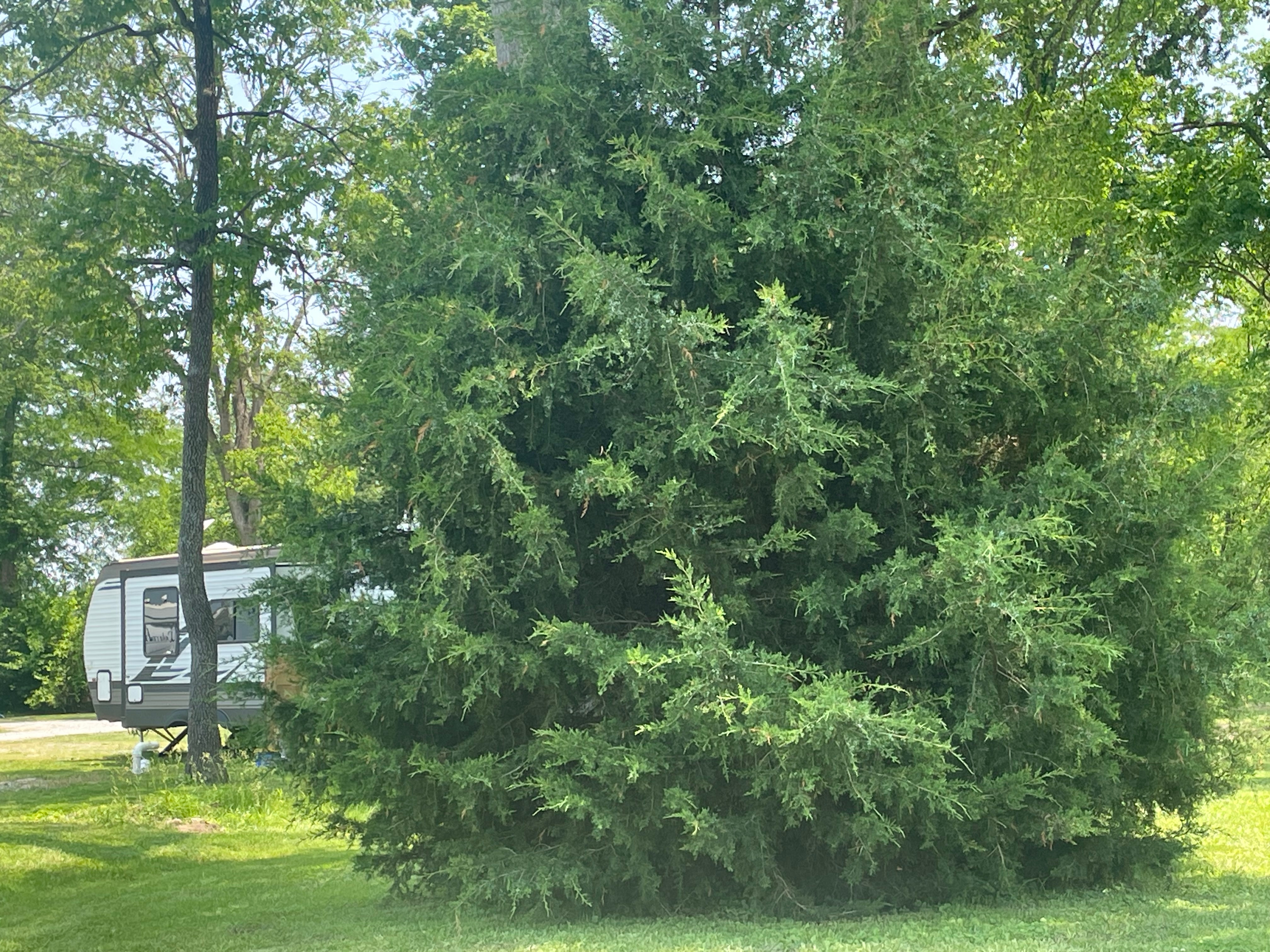 Old Bates Campground, Sesser, Illinois