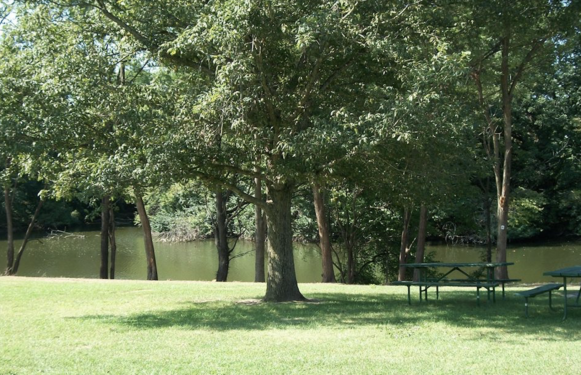 Timberline Campground