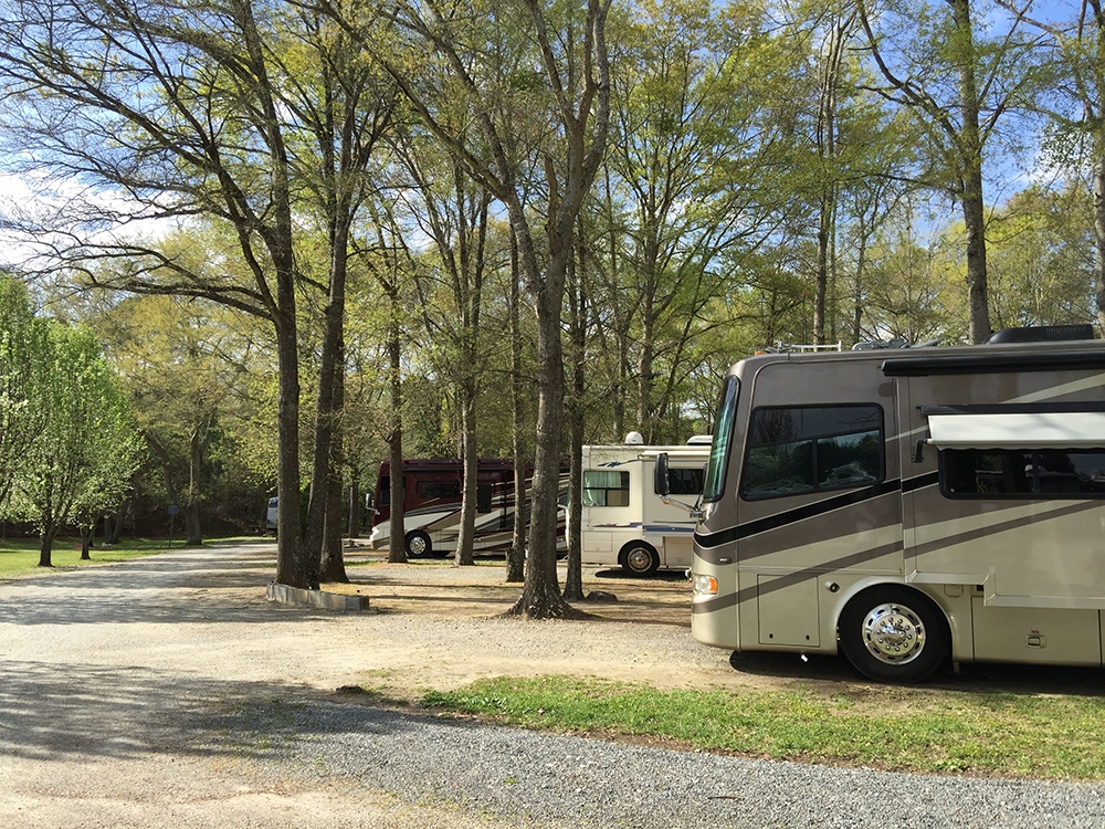 Twin Oaks Campground, Elko, Georgia