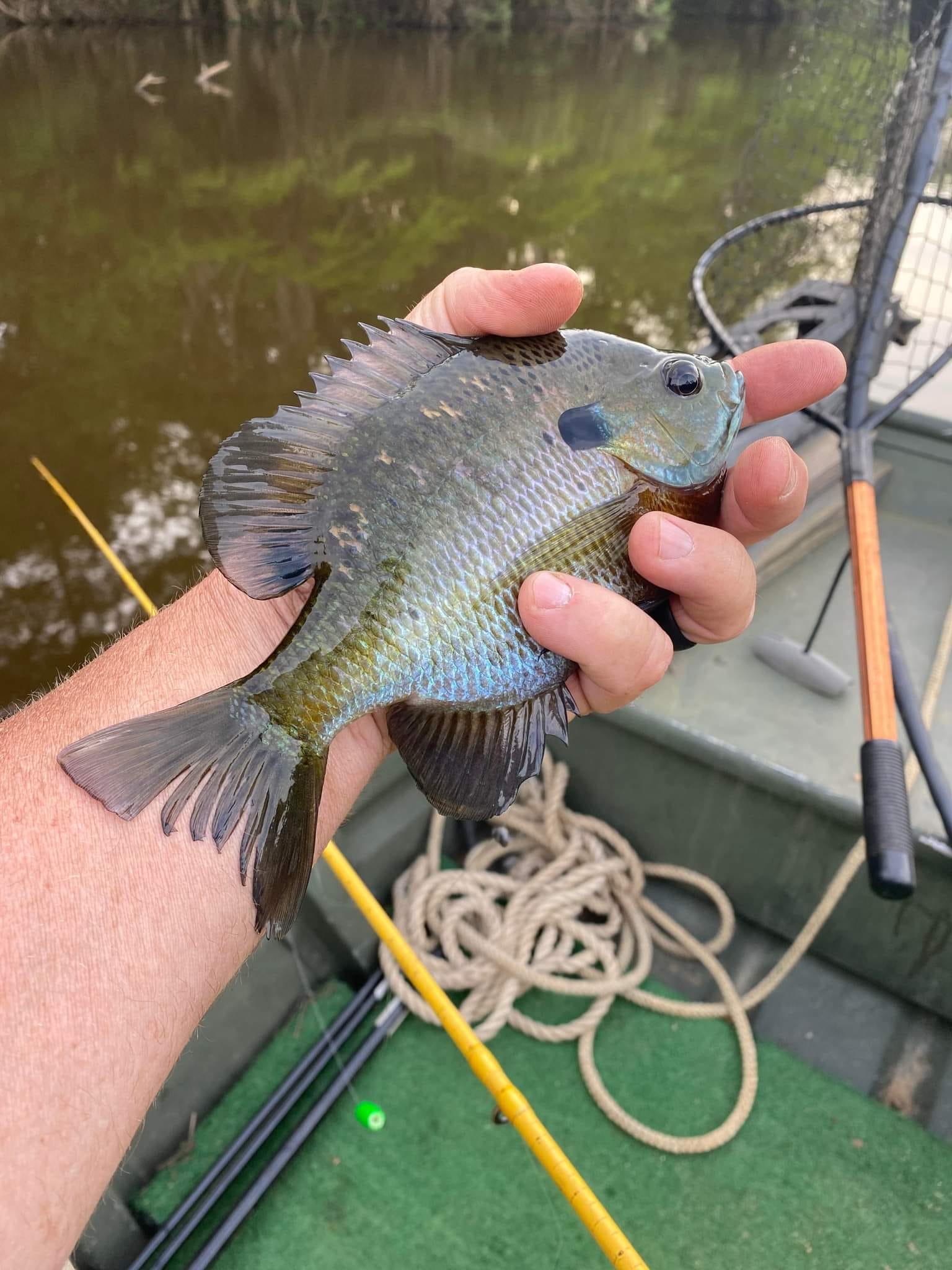 River Farms, Jay, Florida