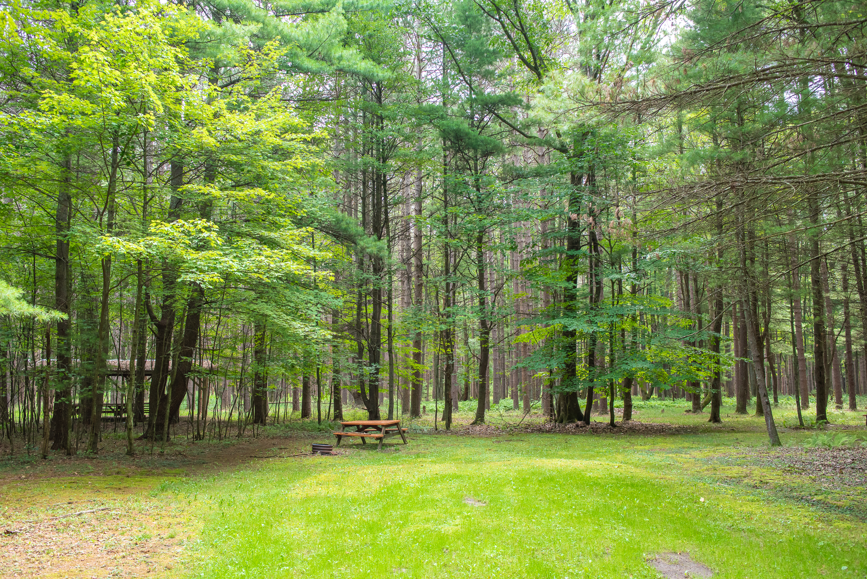 Colors of the Forest RV Resort & Campground, Clarington, Pennsylvania