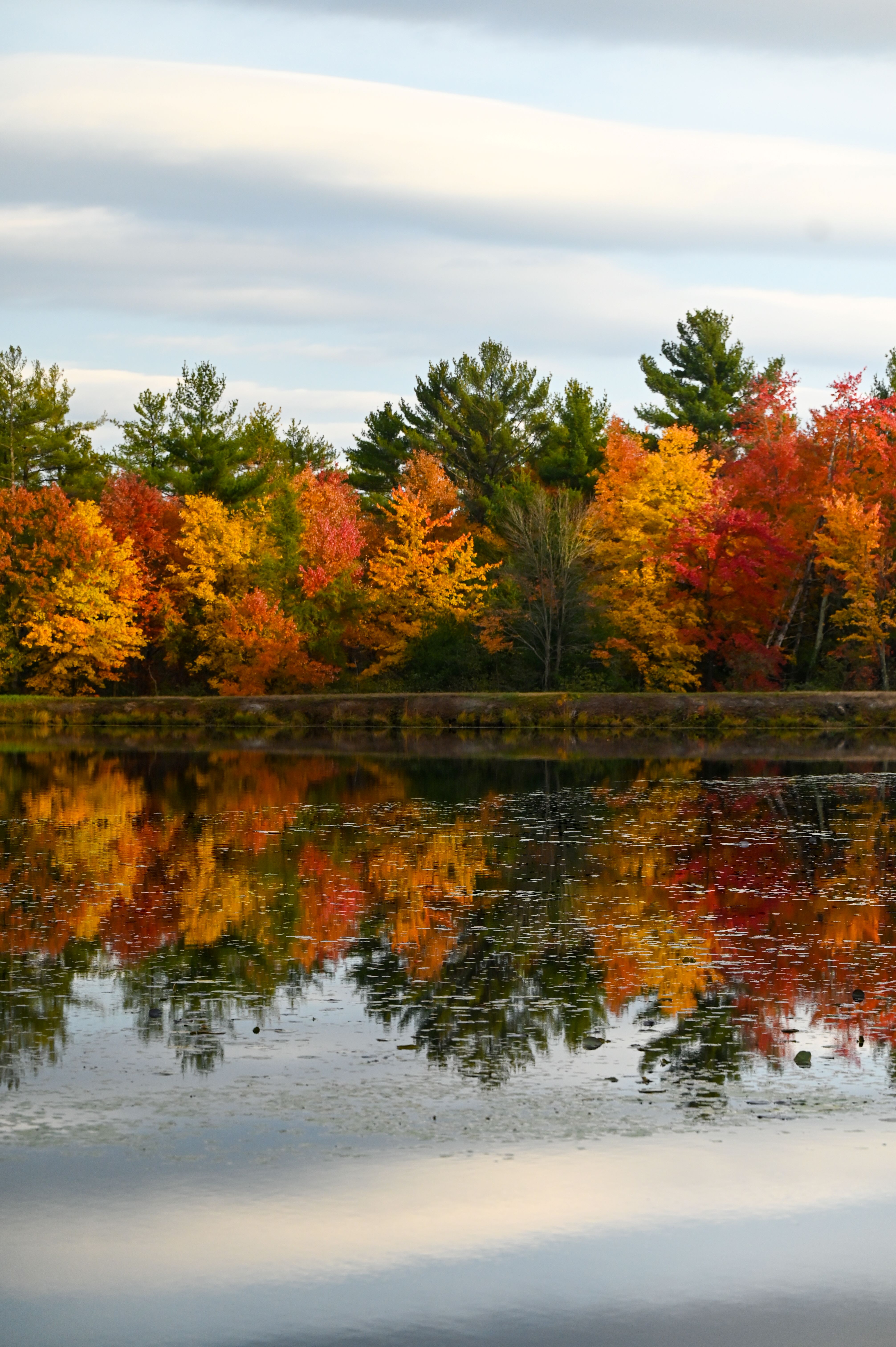 McMullen Memorial County Park, Warrens, Wisconsin