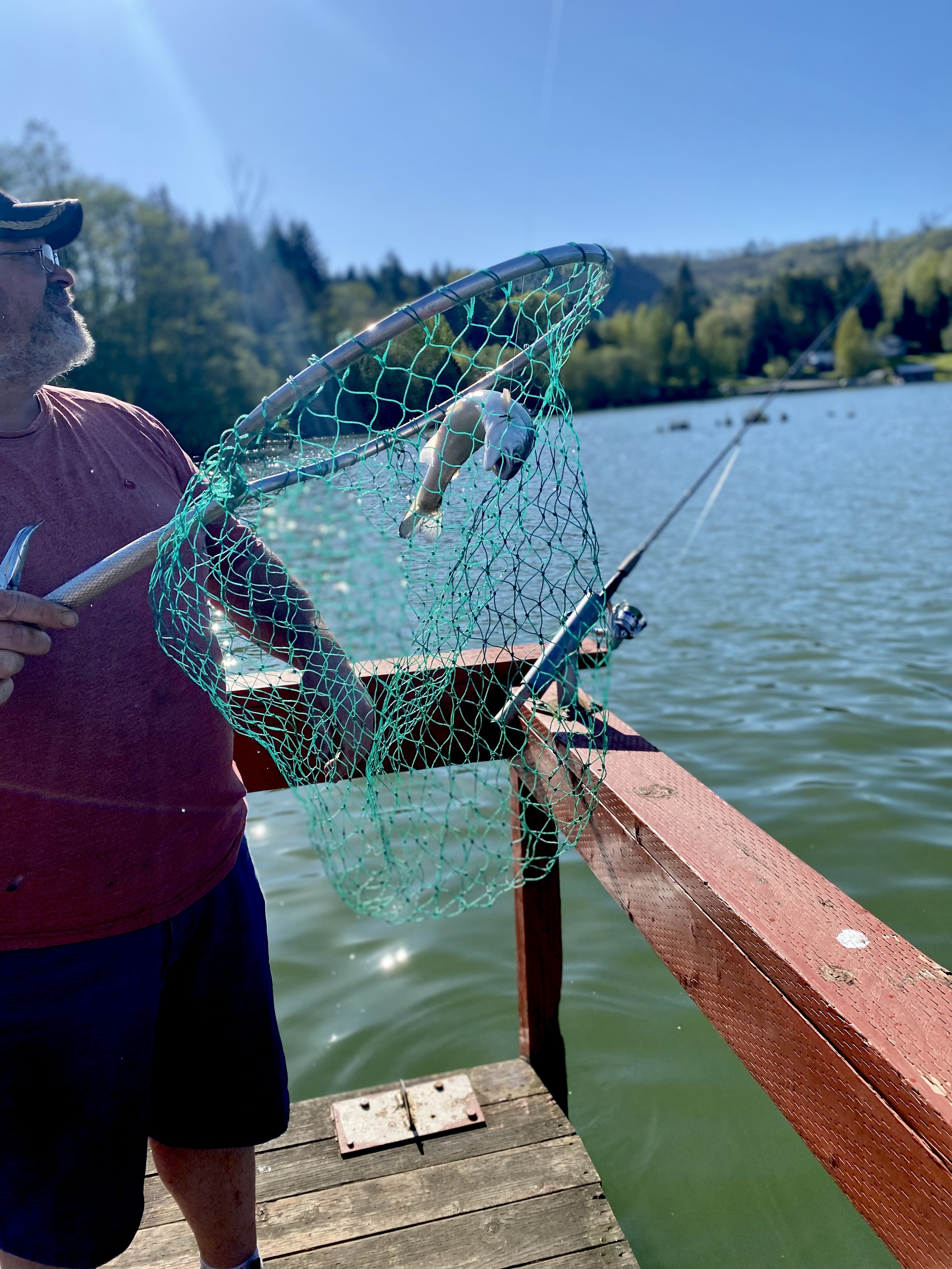 Mineral Lake Lions Den Campground, Mineral, Washington