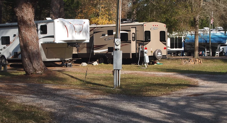 Big Tree RV Park