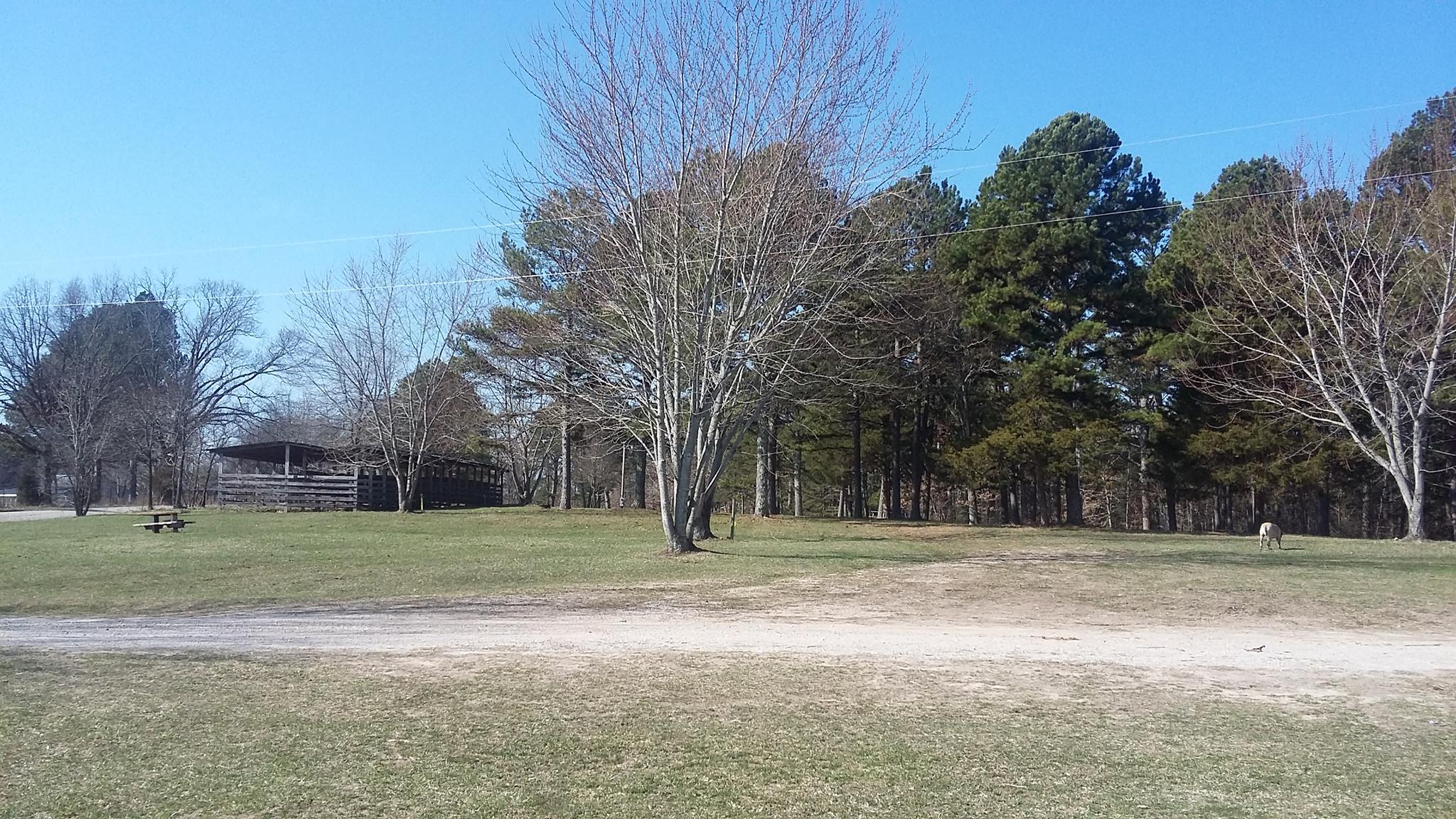 Whispering Pines Campground, Jadwin, Missouri