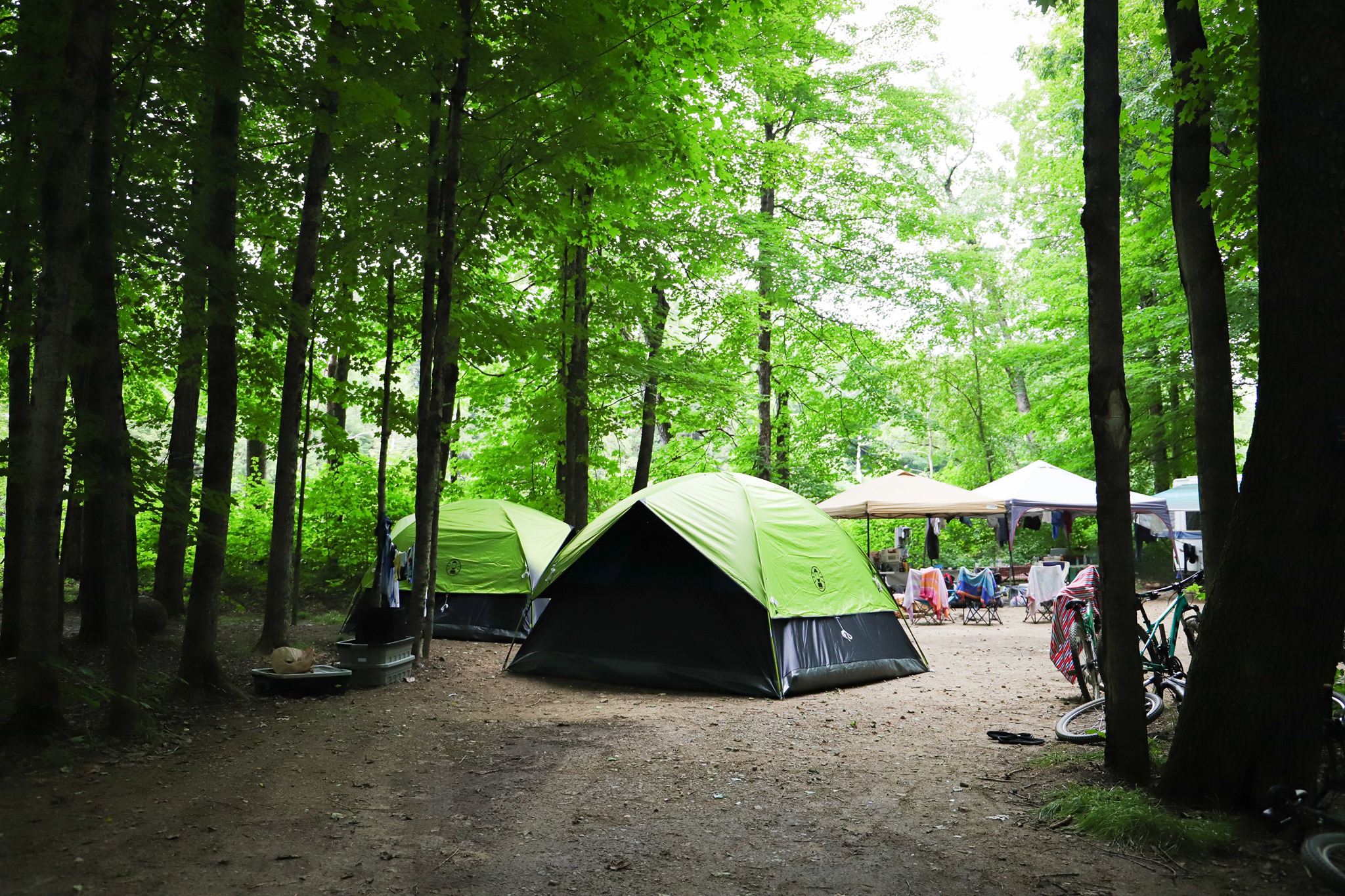 Branch Brook Campground