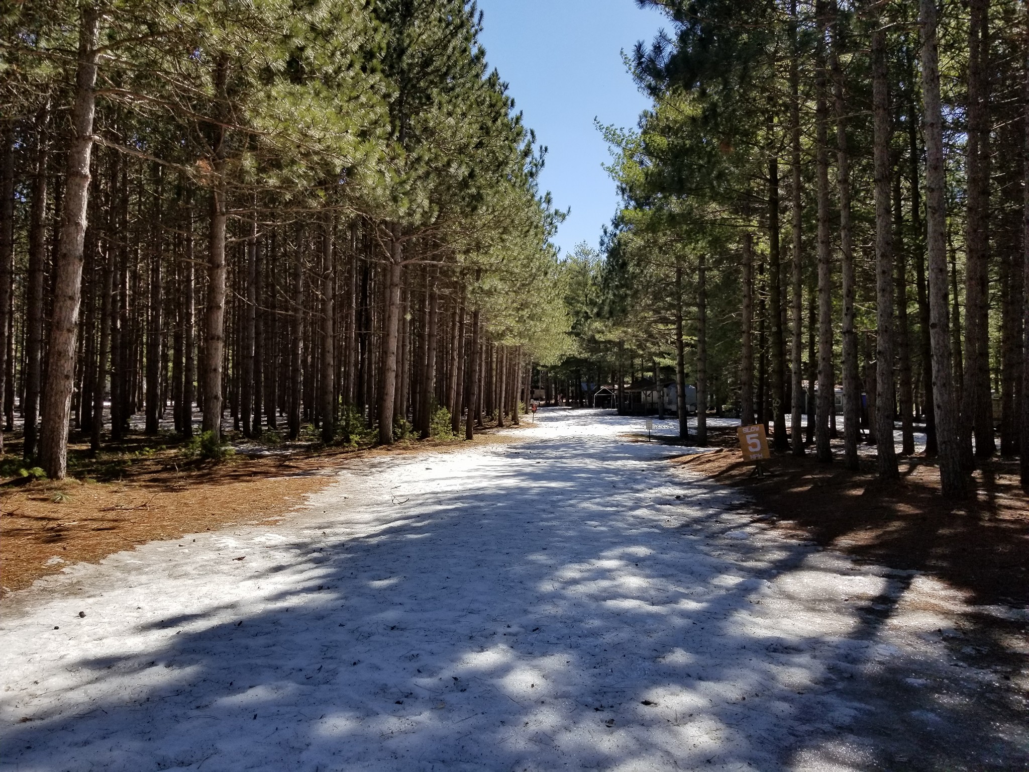Pine Ridge Park Campsite