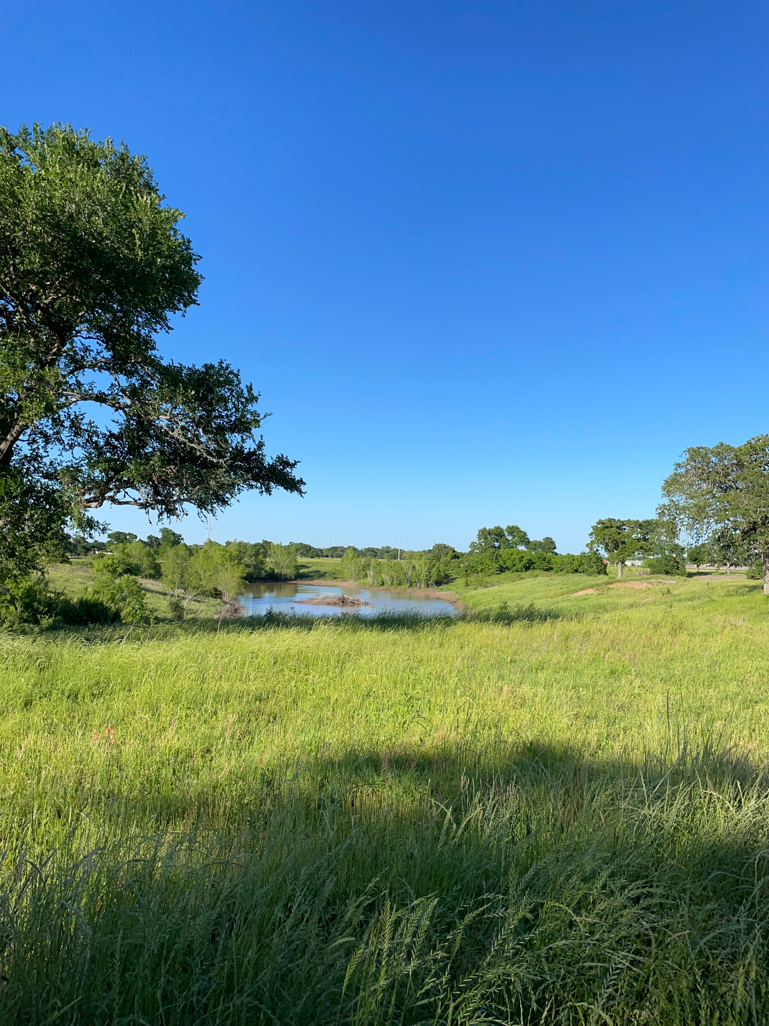 Airport Landing RV Park, Navasota, Texas