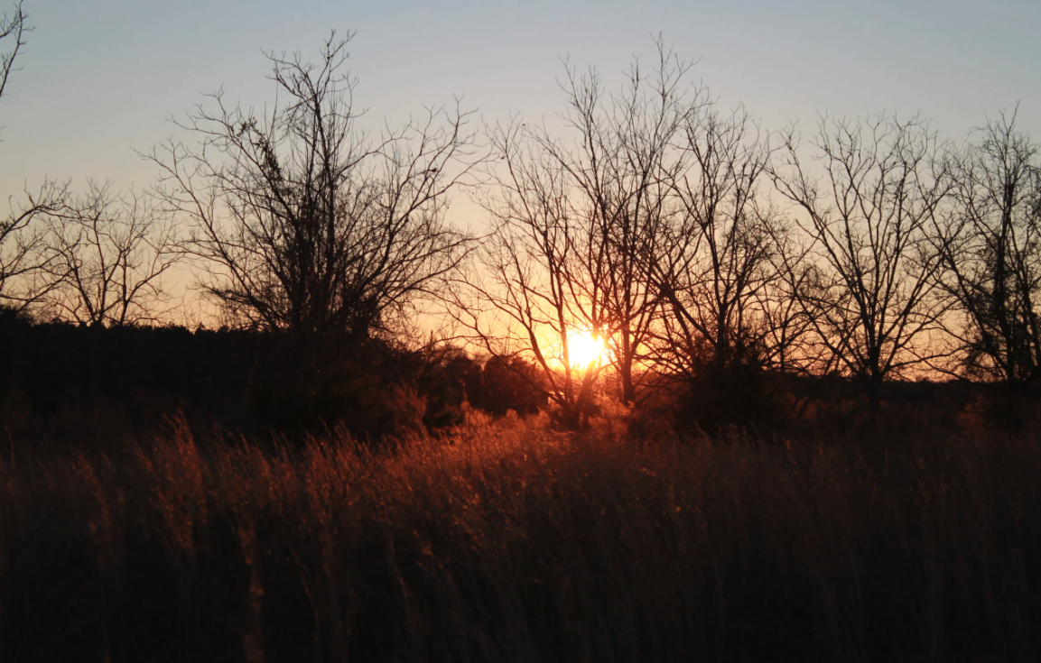 Pebble Hill RV Resort