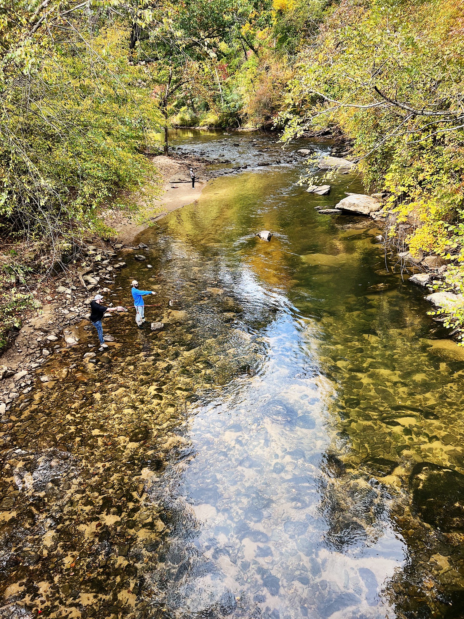 Wilderness Cove Campground