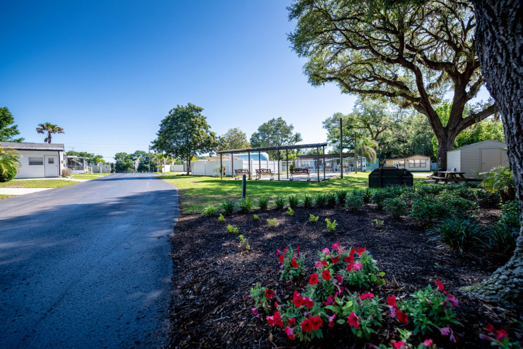 Citrus Hill (Age Restricted 55+)