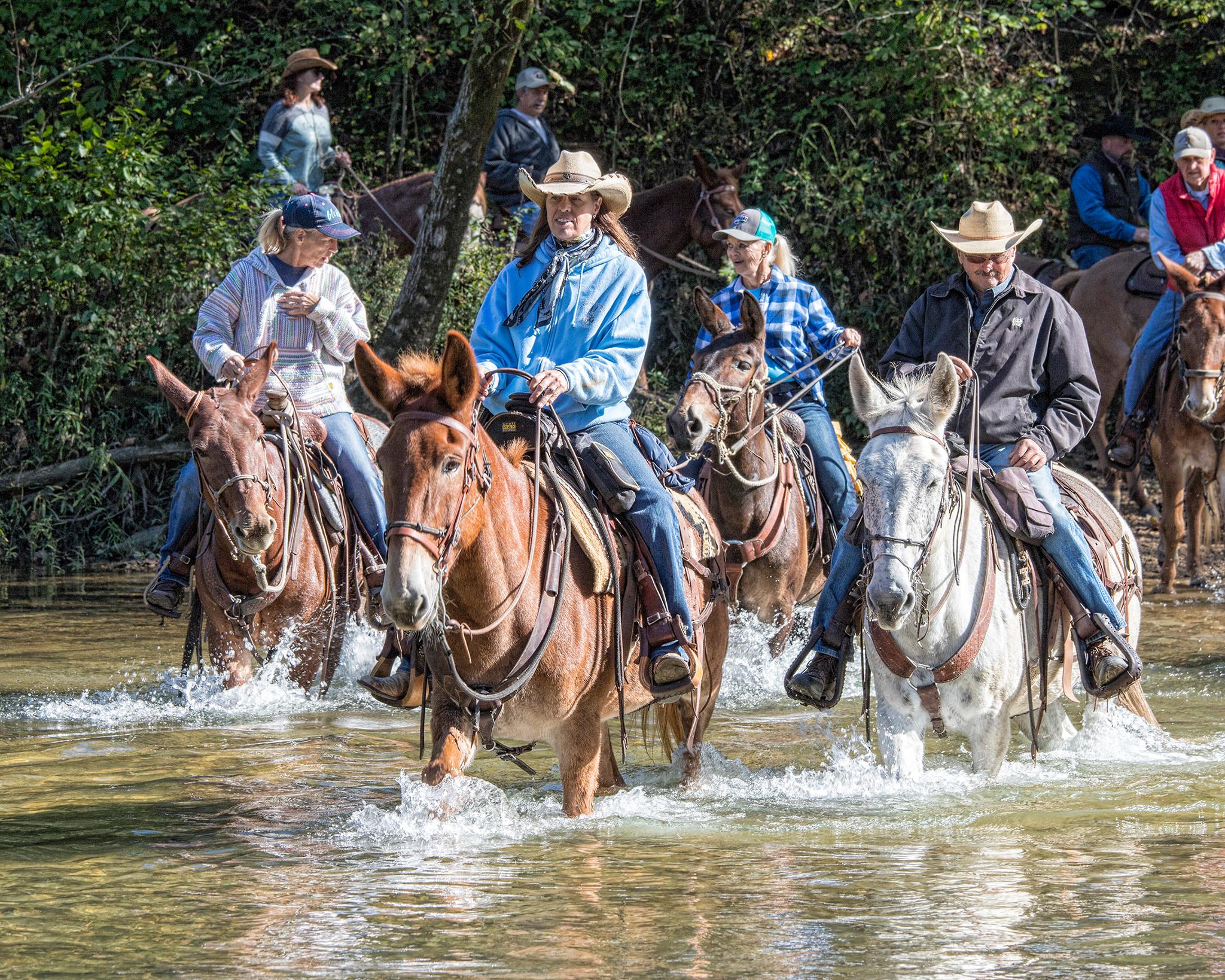 North Fork River Ranch