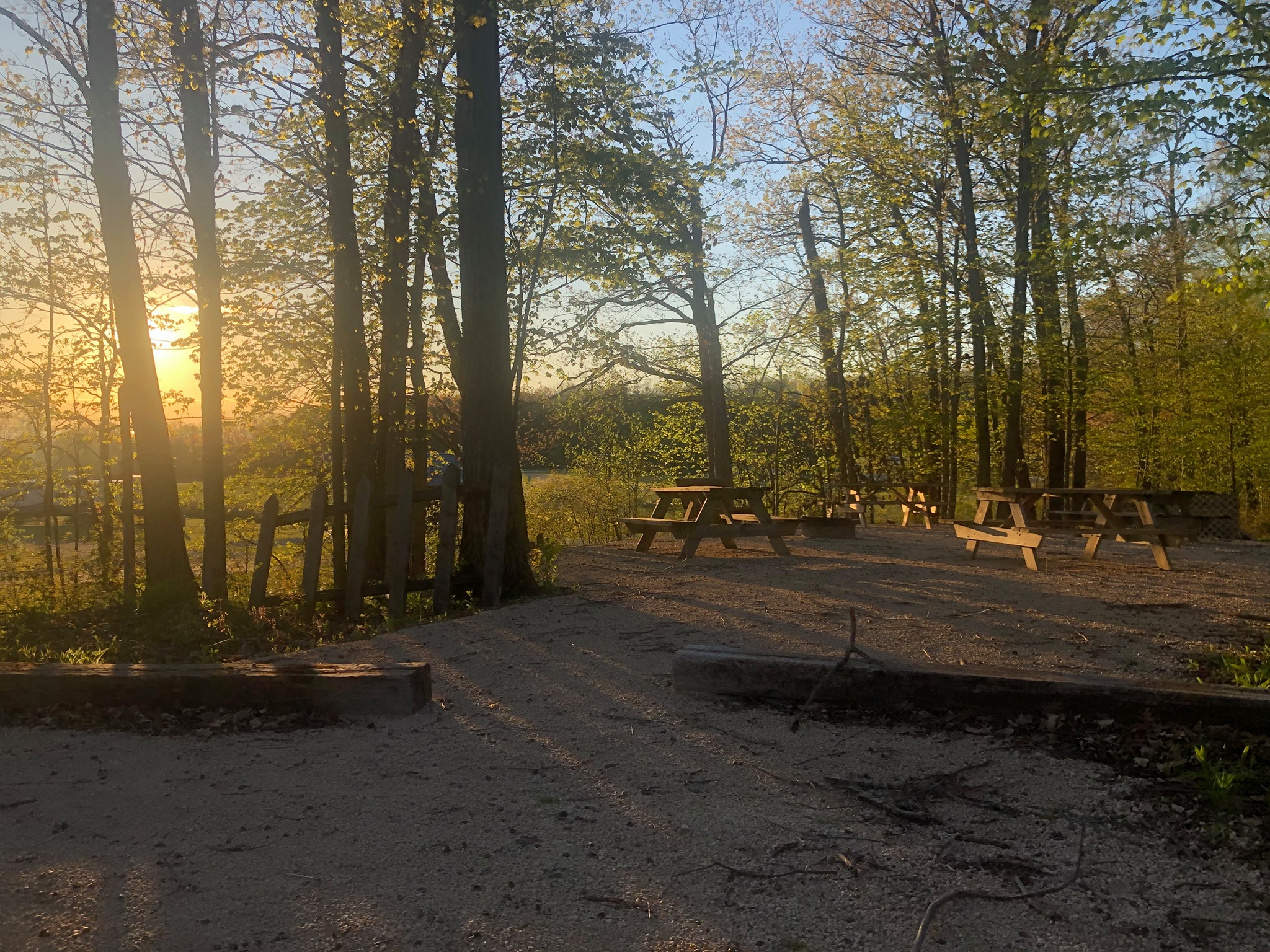 Lakeview RV and Cabins