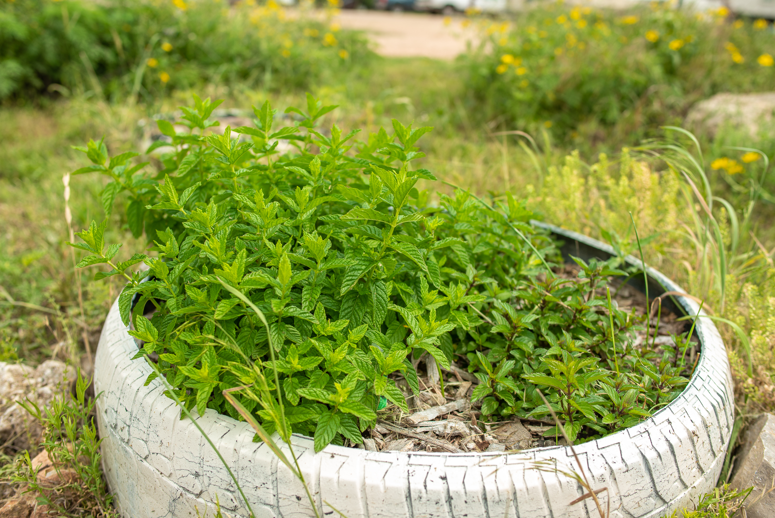 Heart of Texas RV Park