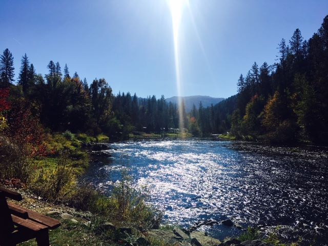 Harpster Store & RV Park