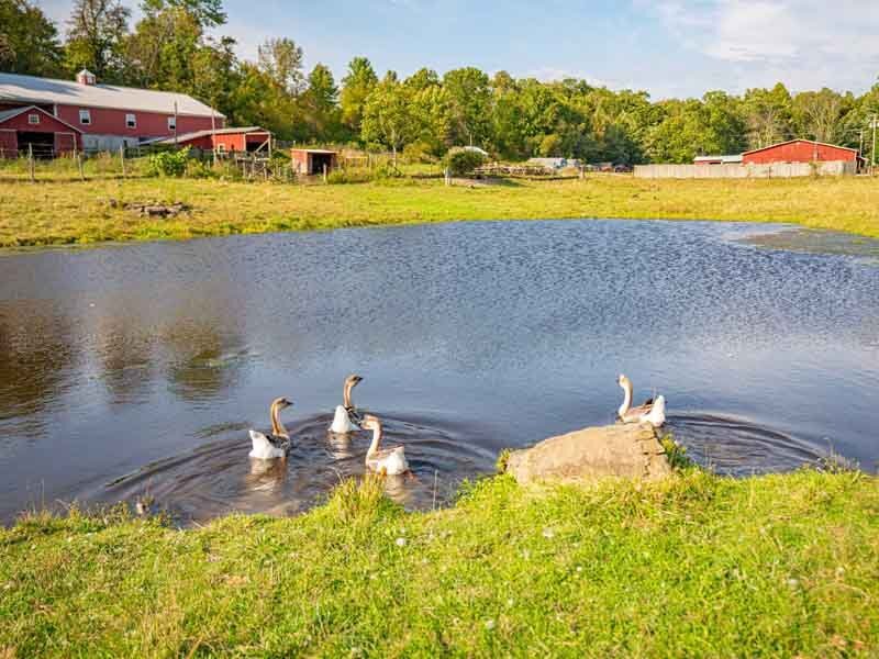 Sun Retreats Pleasant Acres Farm