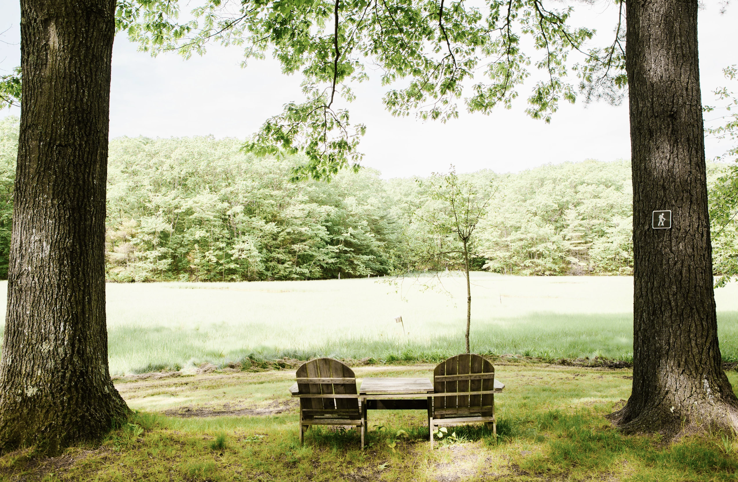 Wild Duck Adult Campground & RV Park