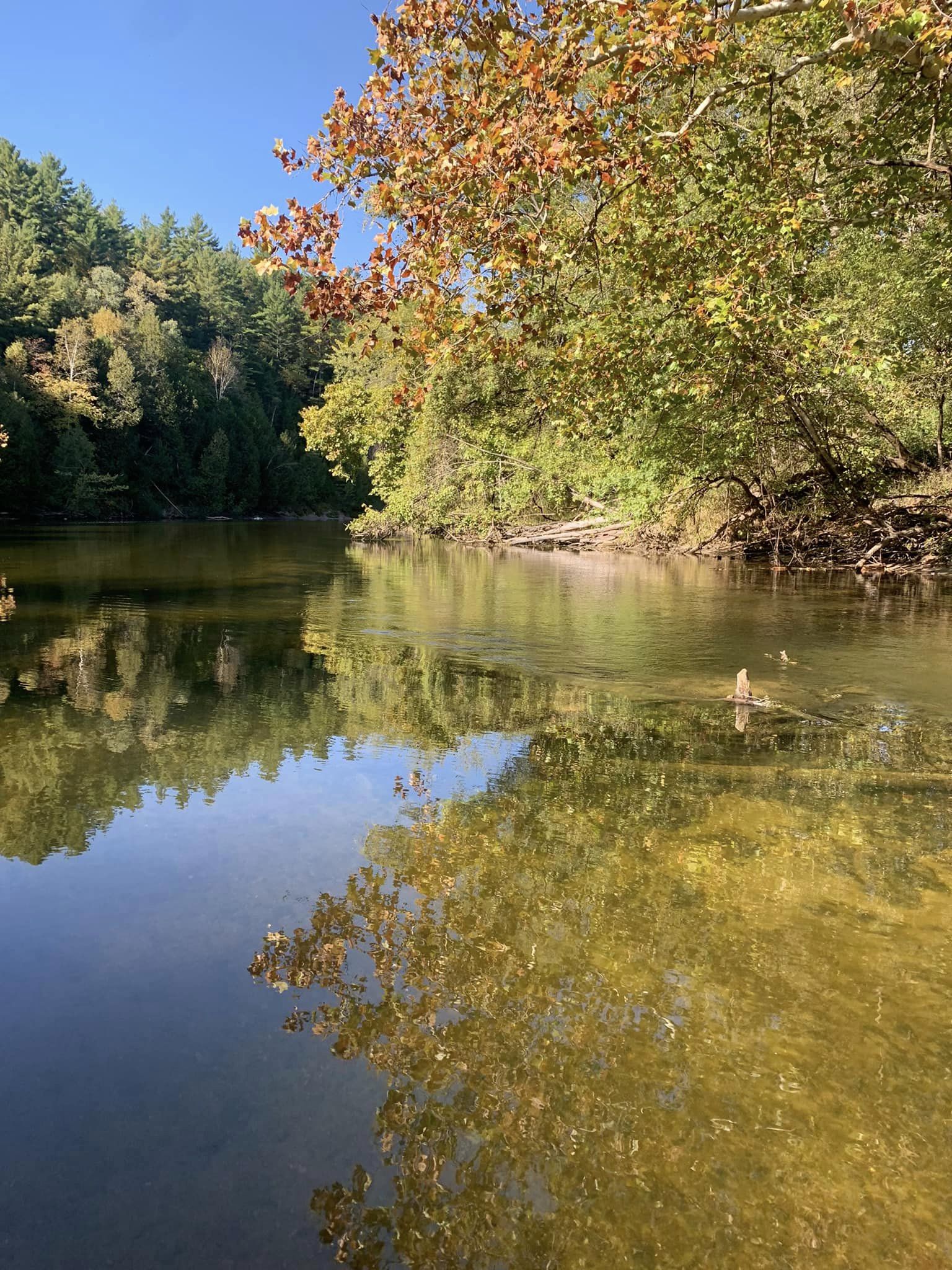 Salmon Run Campground and Vic's Canoes