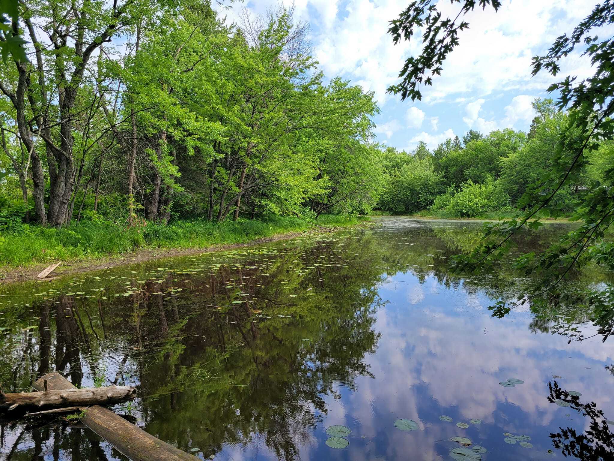 Knife Island Campground