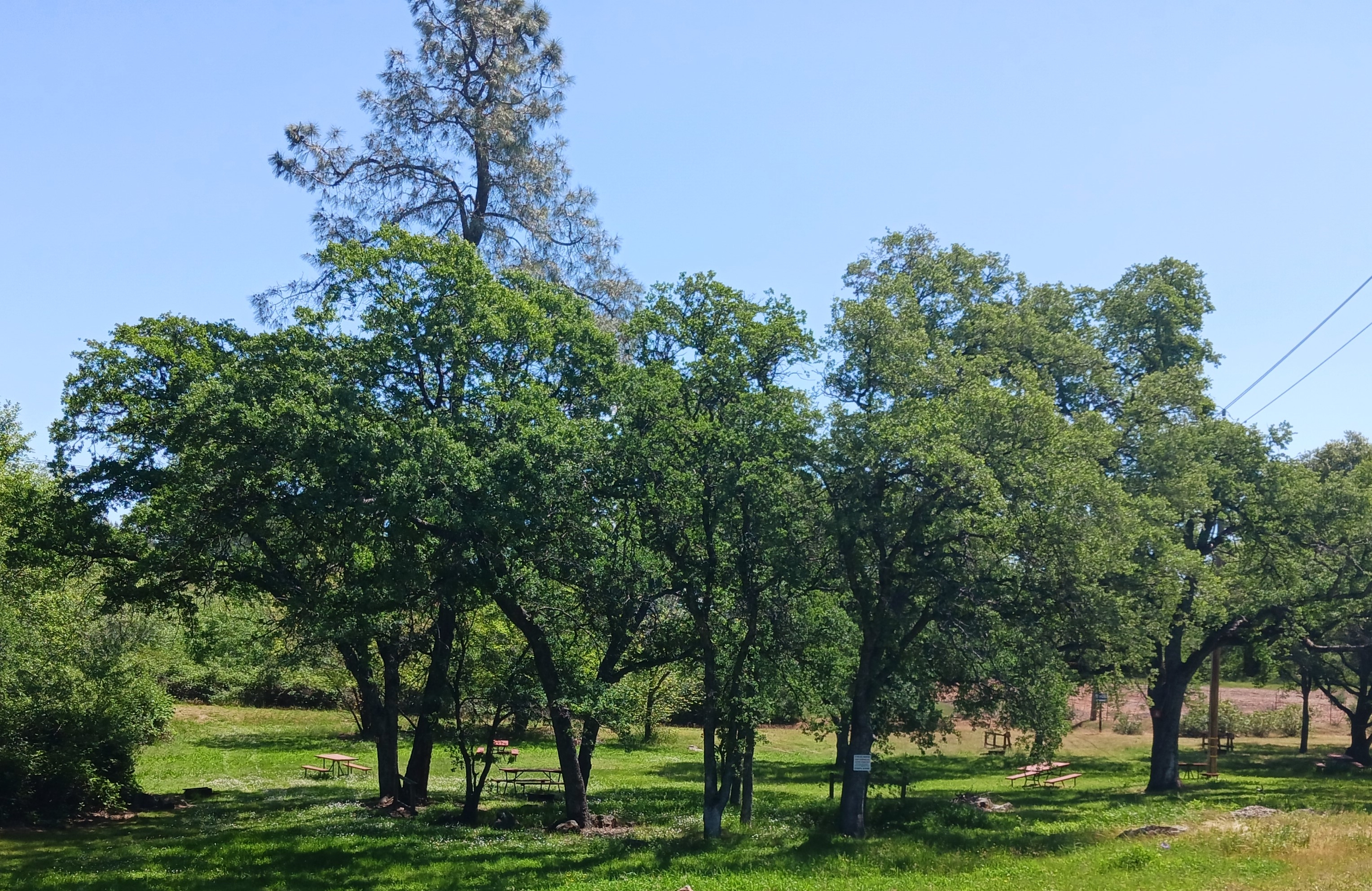 Auburn Gold Country RV Park, Auburn, California