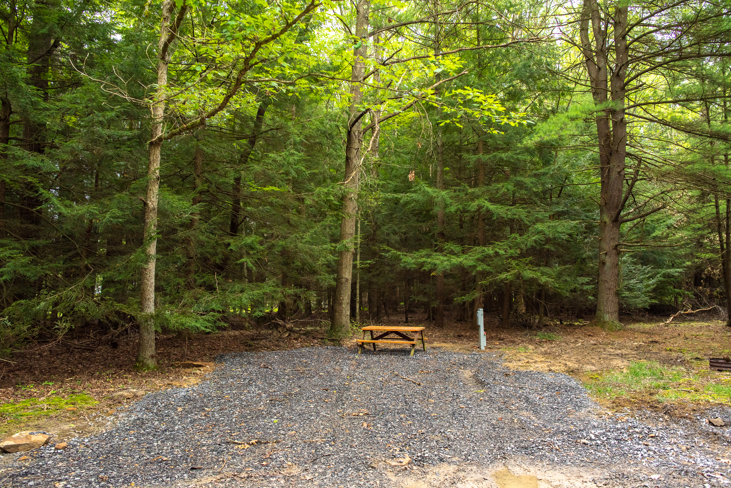 Colors of the Forest RV Resort & Campground, Clarington, Pennsylvania