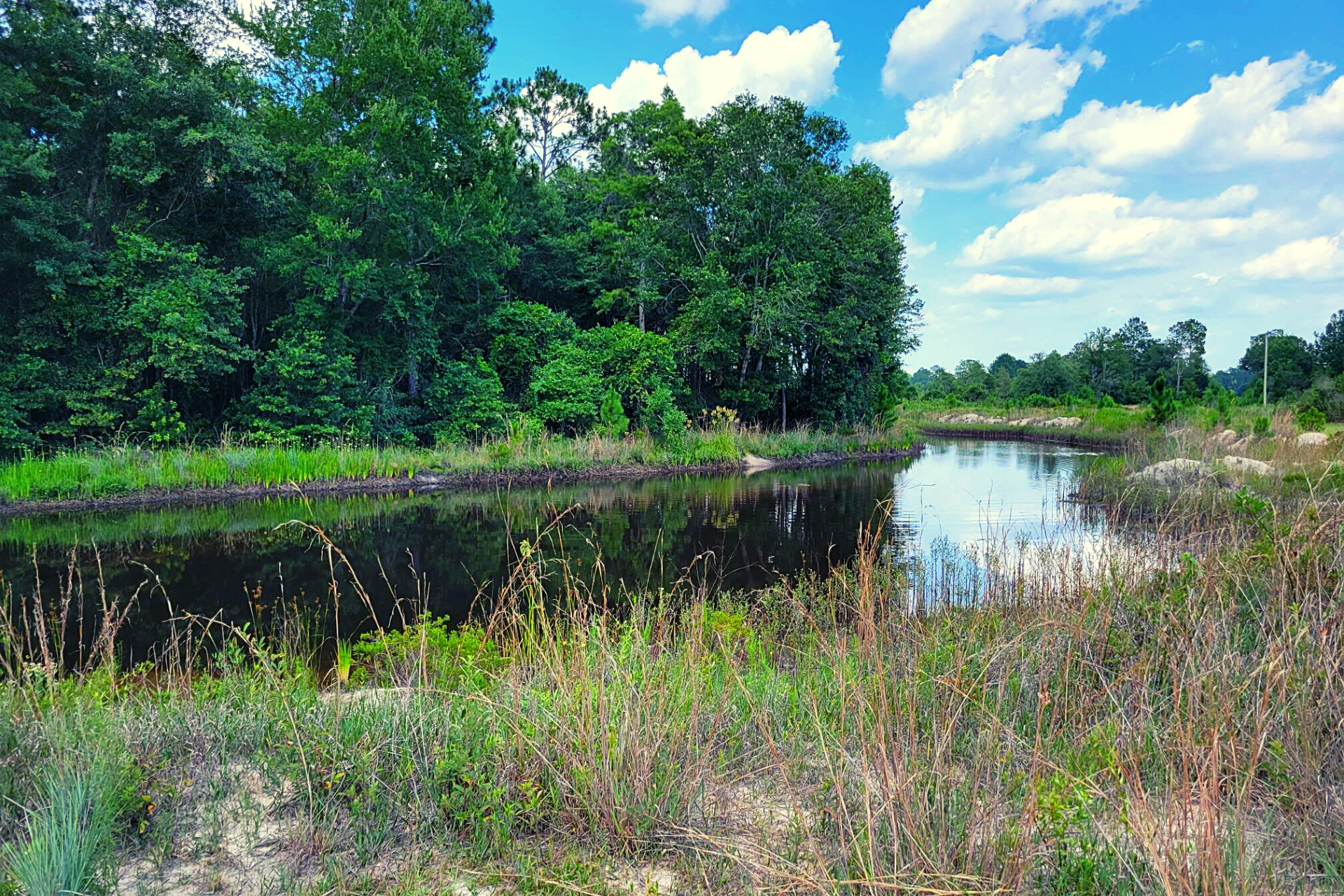 D&R RV Park & Equine Training Center