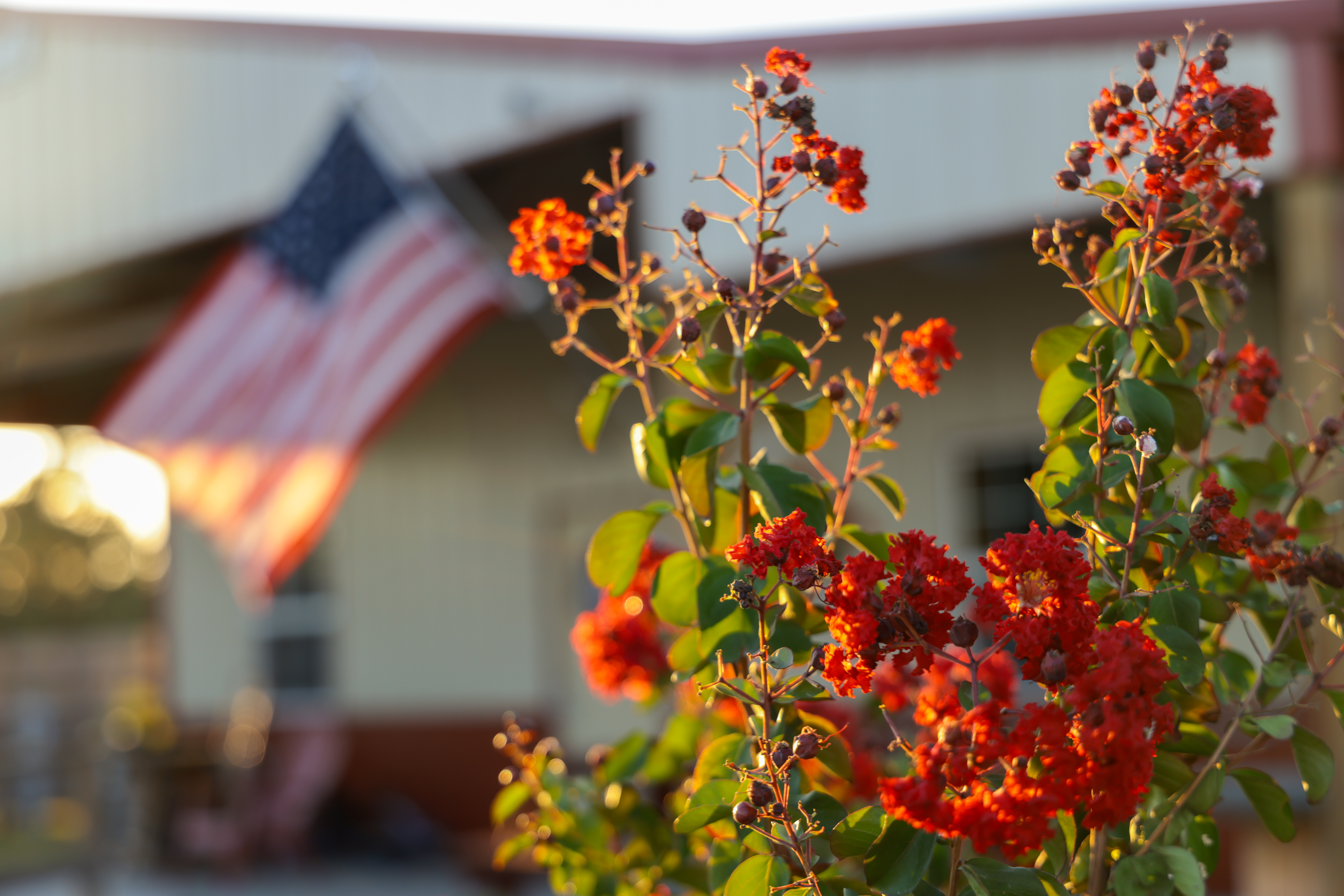 Terry's Country RV Park, Alvin, Texas