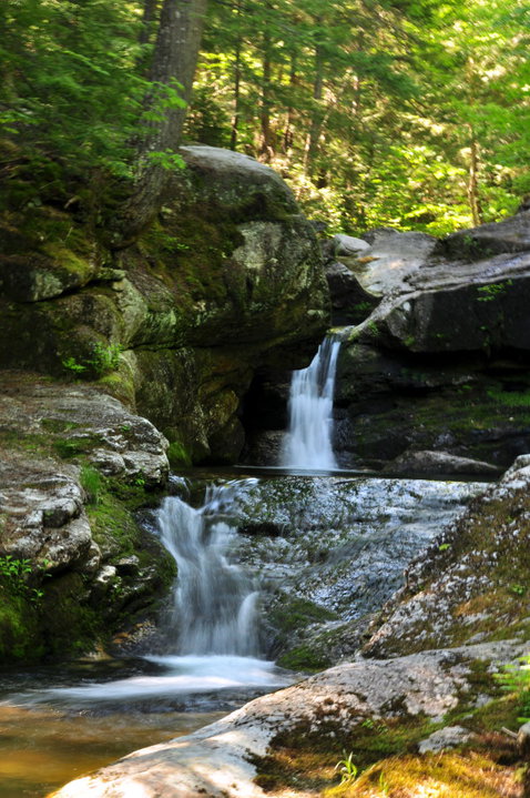 White Birches Camping Park