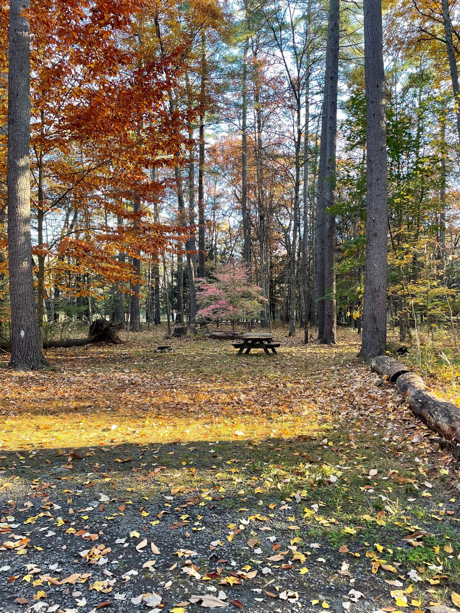 Dingmans Campground, Dingmans Ferry, Pennsylvania