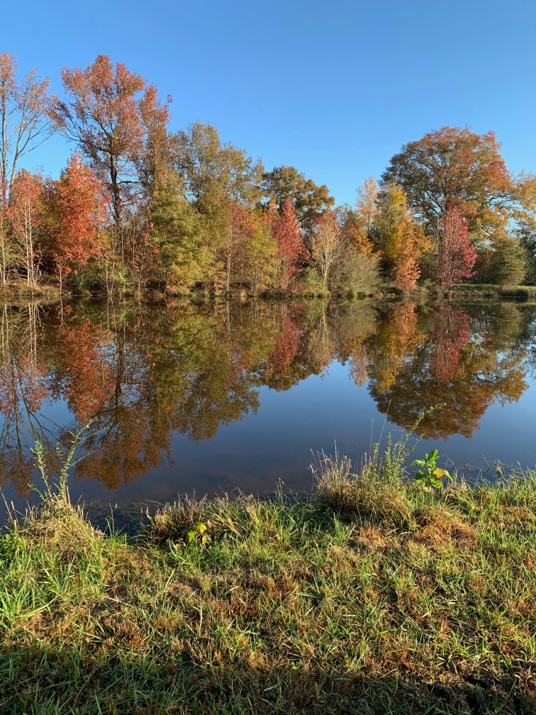 Plato's Branch RV Park