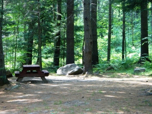 Stony Brook Campground, Hanover, Maine