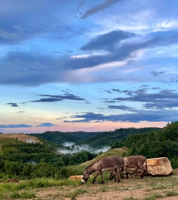Buffalo Camp and Ride Campground