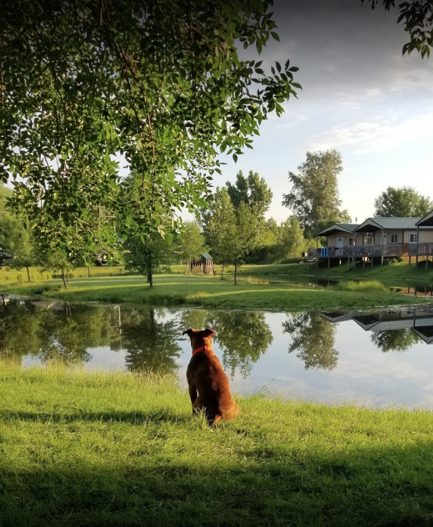 Adventure Bound Beaver Trails