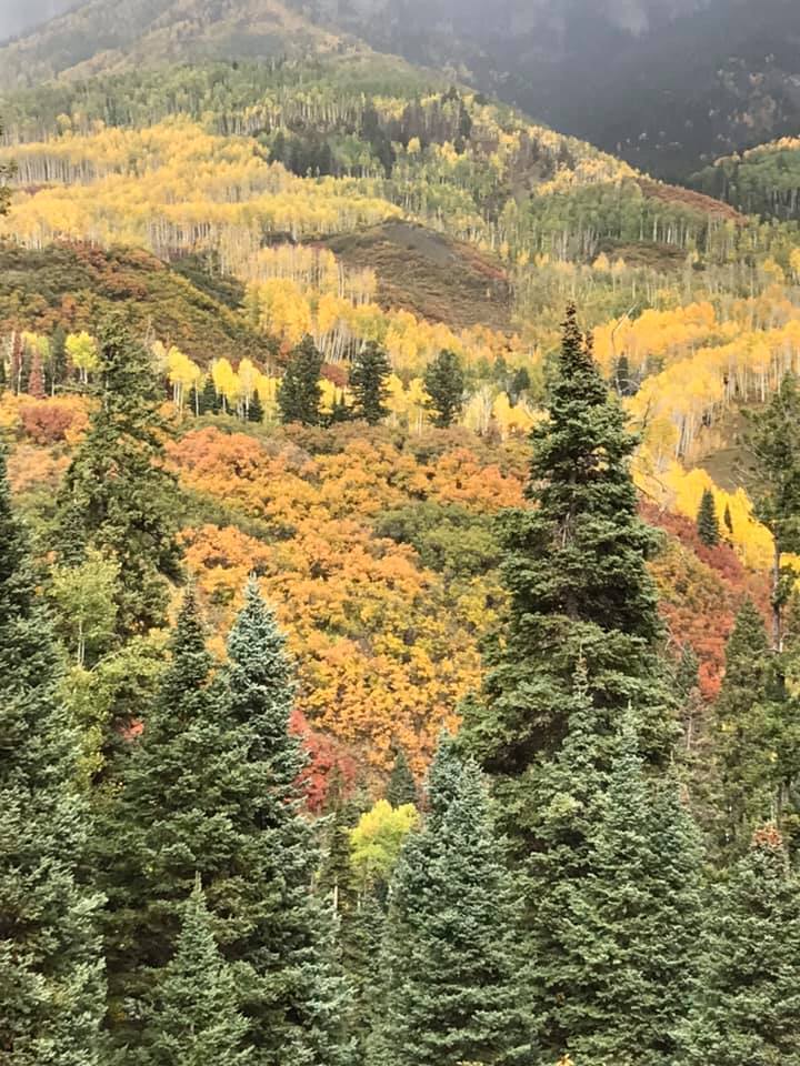 Tomichi Creek Trading Post