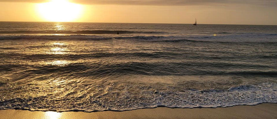 Camp Venice RV Resort