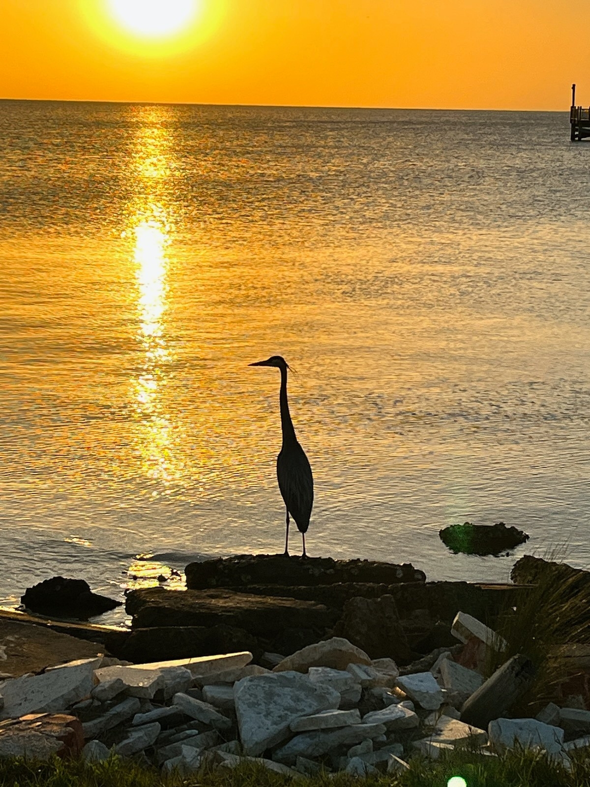 Live Oak Point RV Resort