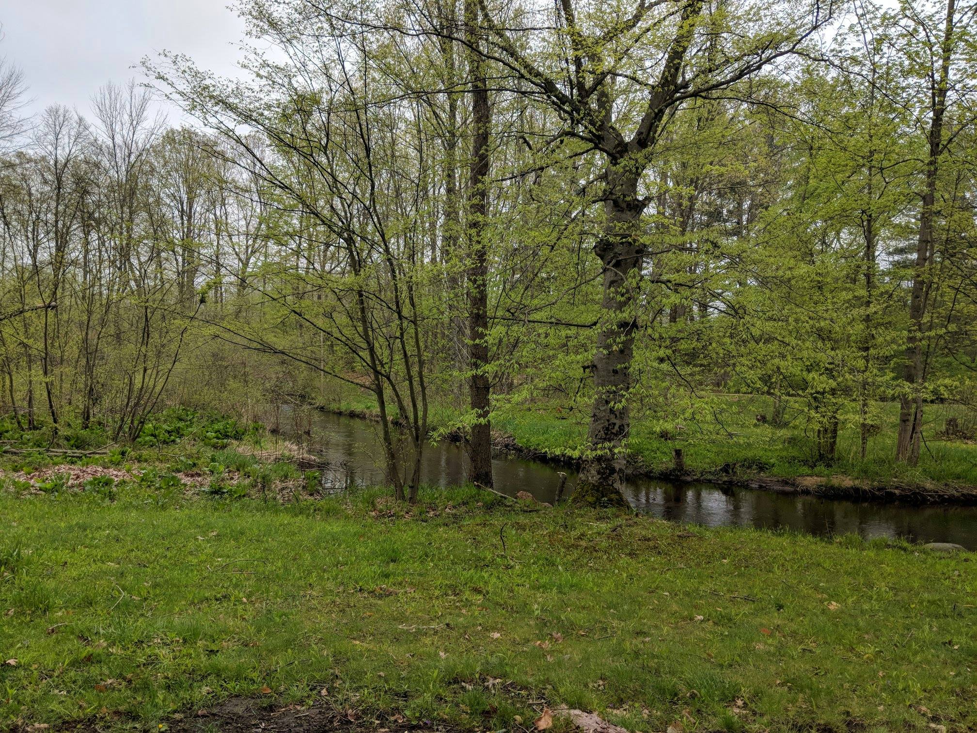 Duke Creek Campground, Cedar Springs, Michigan