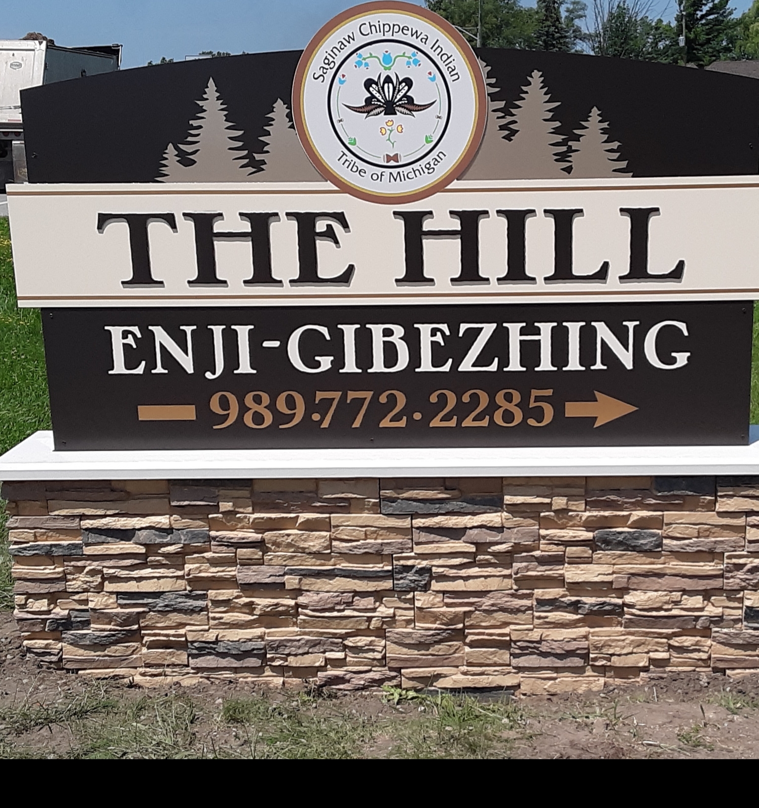 The Hill at Soaring Eagle