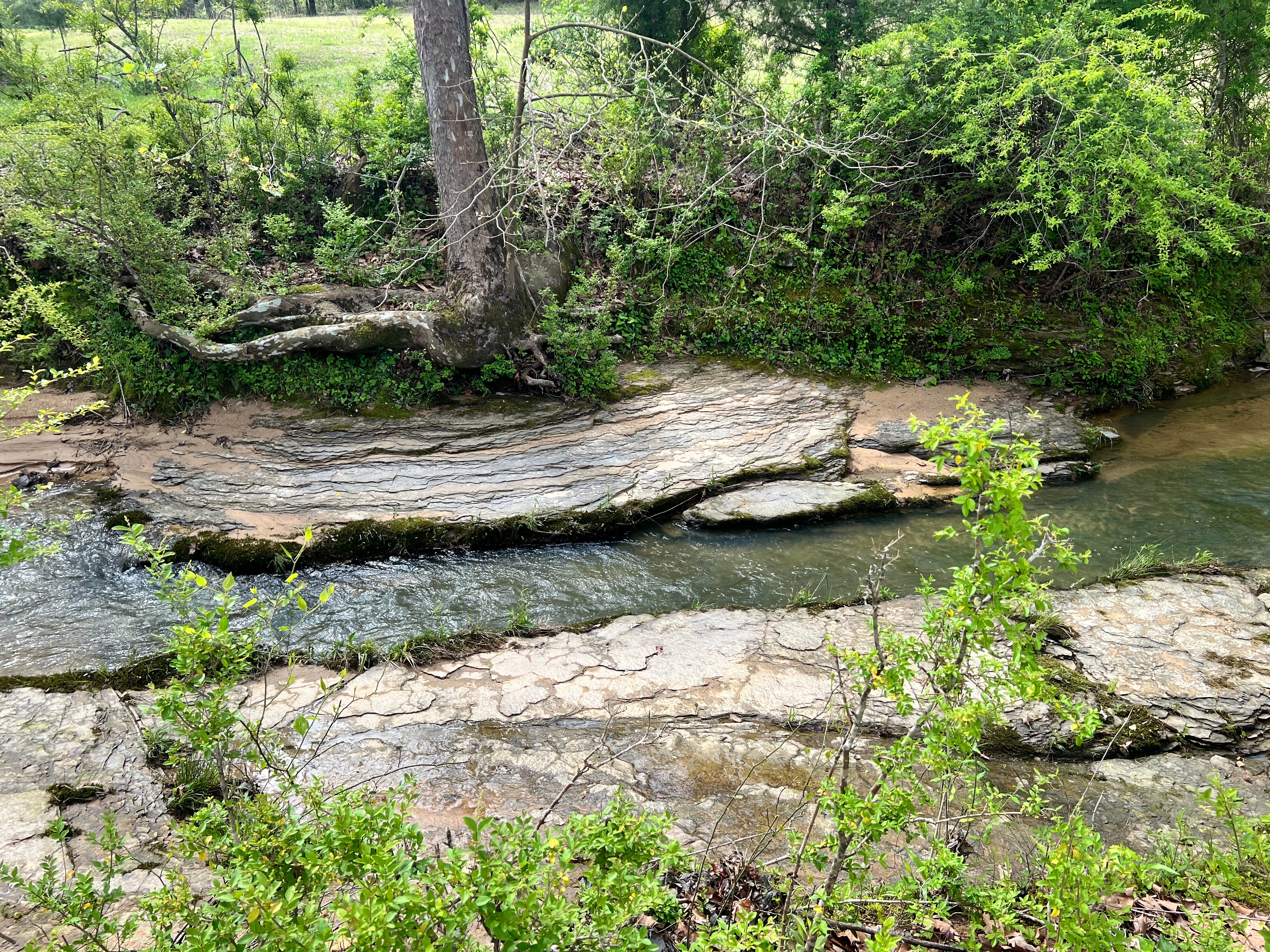 Lazy Acres RV Park, Fayette, Alabama