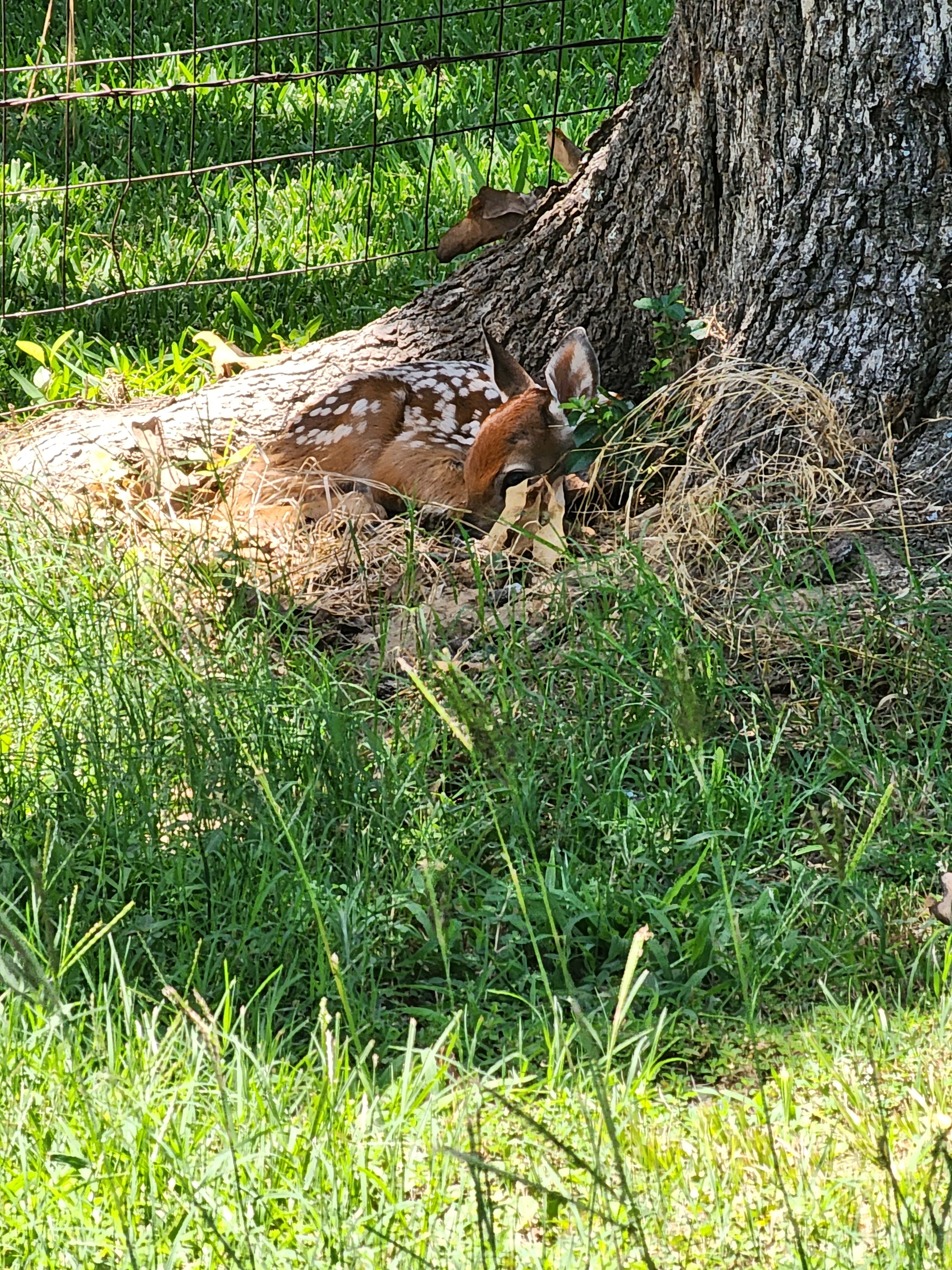 North Shore Landing RV Park