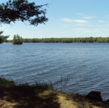 Lake of The Falls County Park