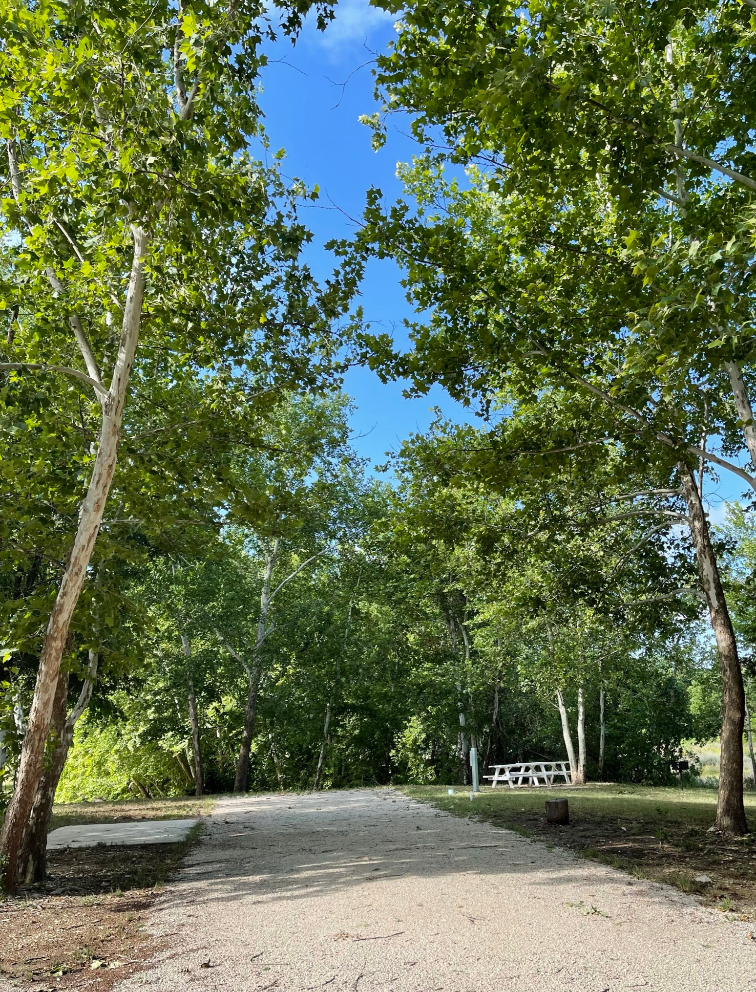 Yeager Creek RV Resort, Johnson City, Texas