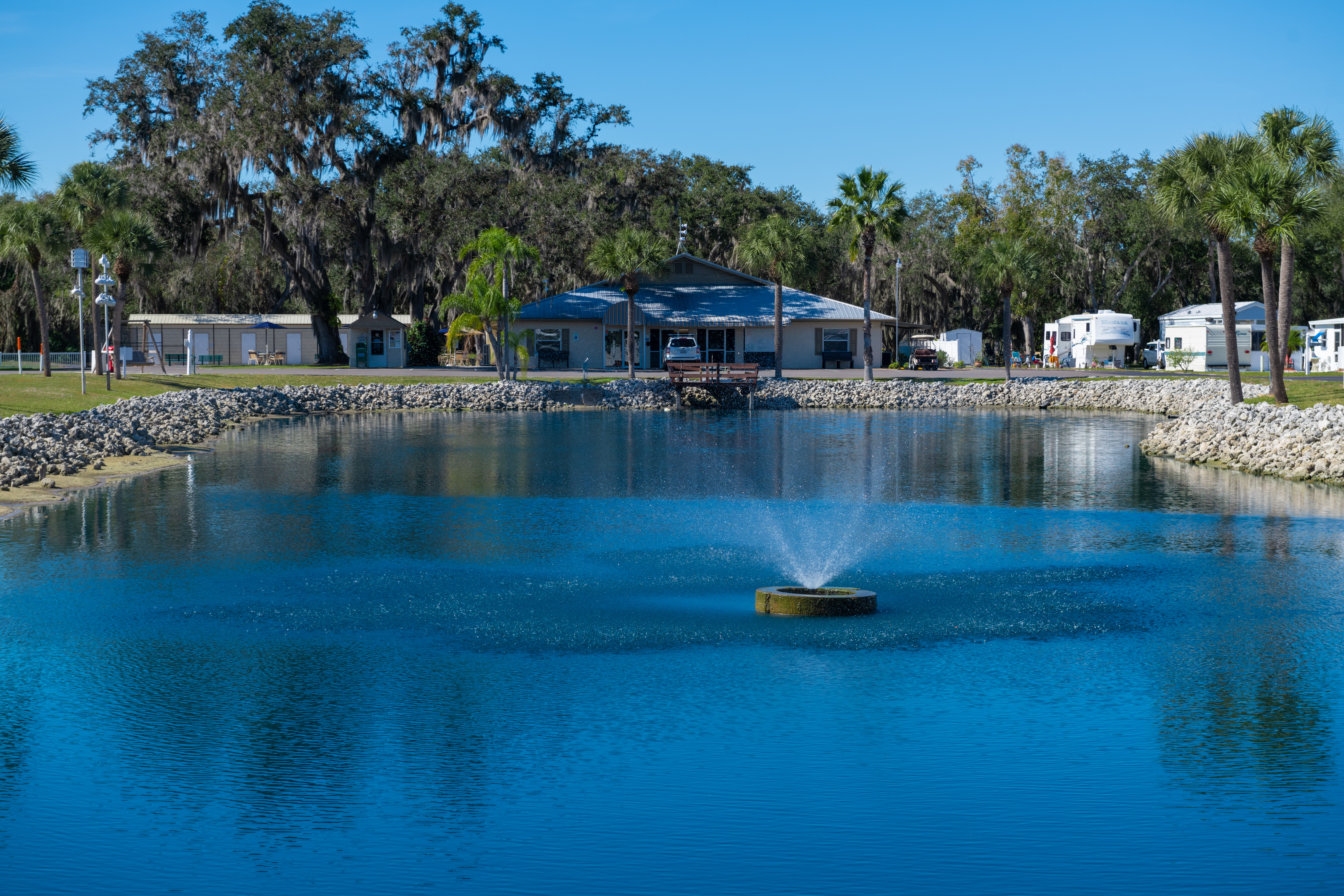 Big Tree (Age Restricted 55+)