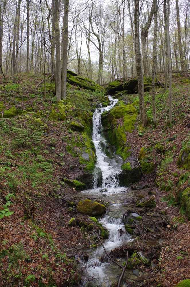Privacy Campground, Williamstown, Massachusetts