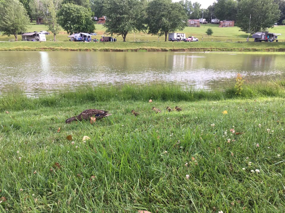 Walnut Hills Campground and RV Park