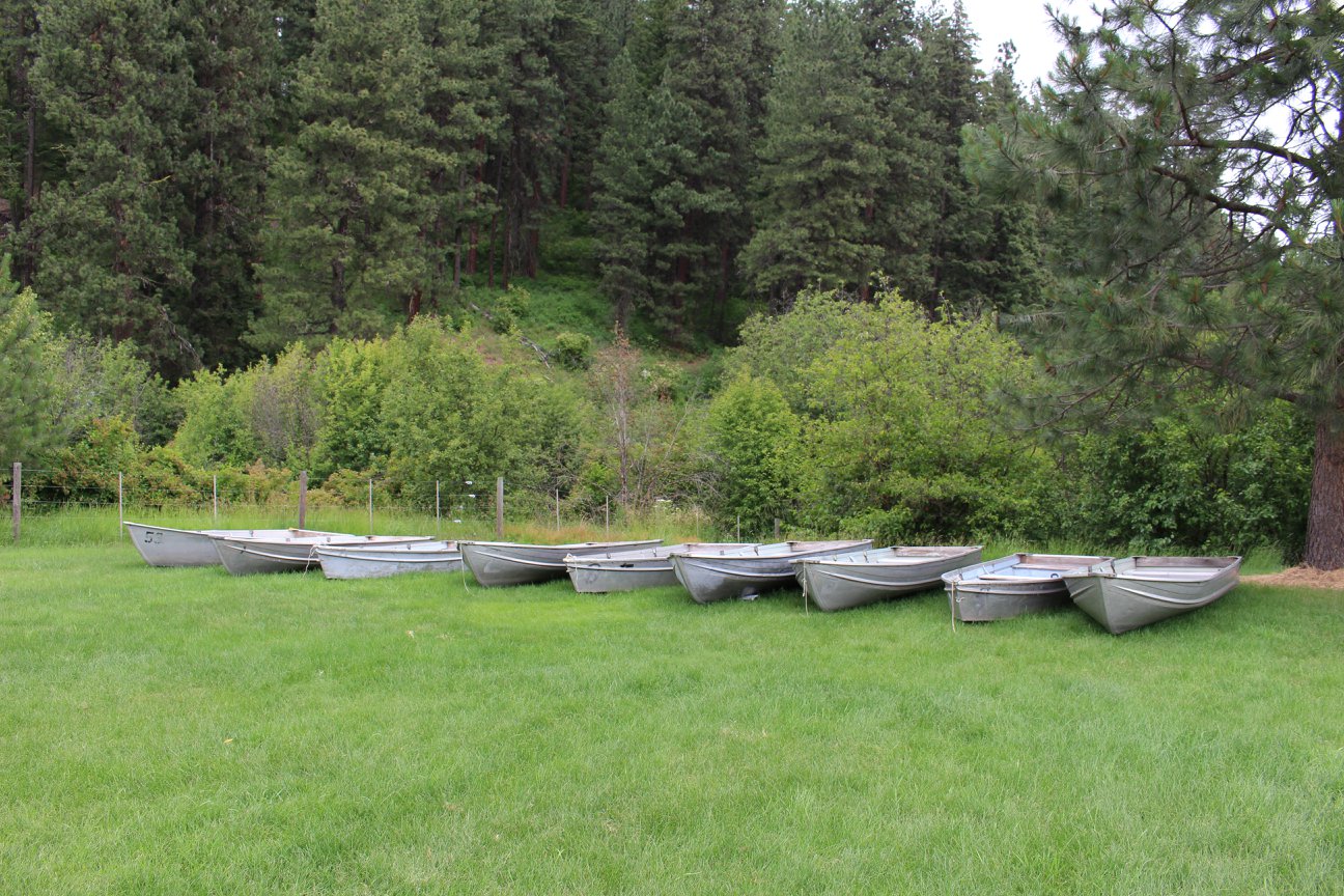 Camp Grizzly, Harvard, Idaho