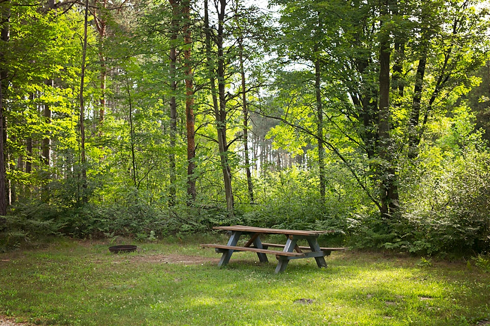 Riverside Park Campground, Evart, Michigan