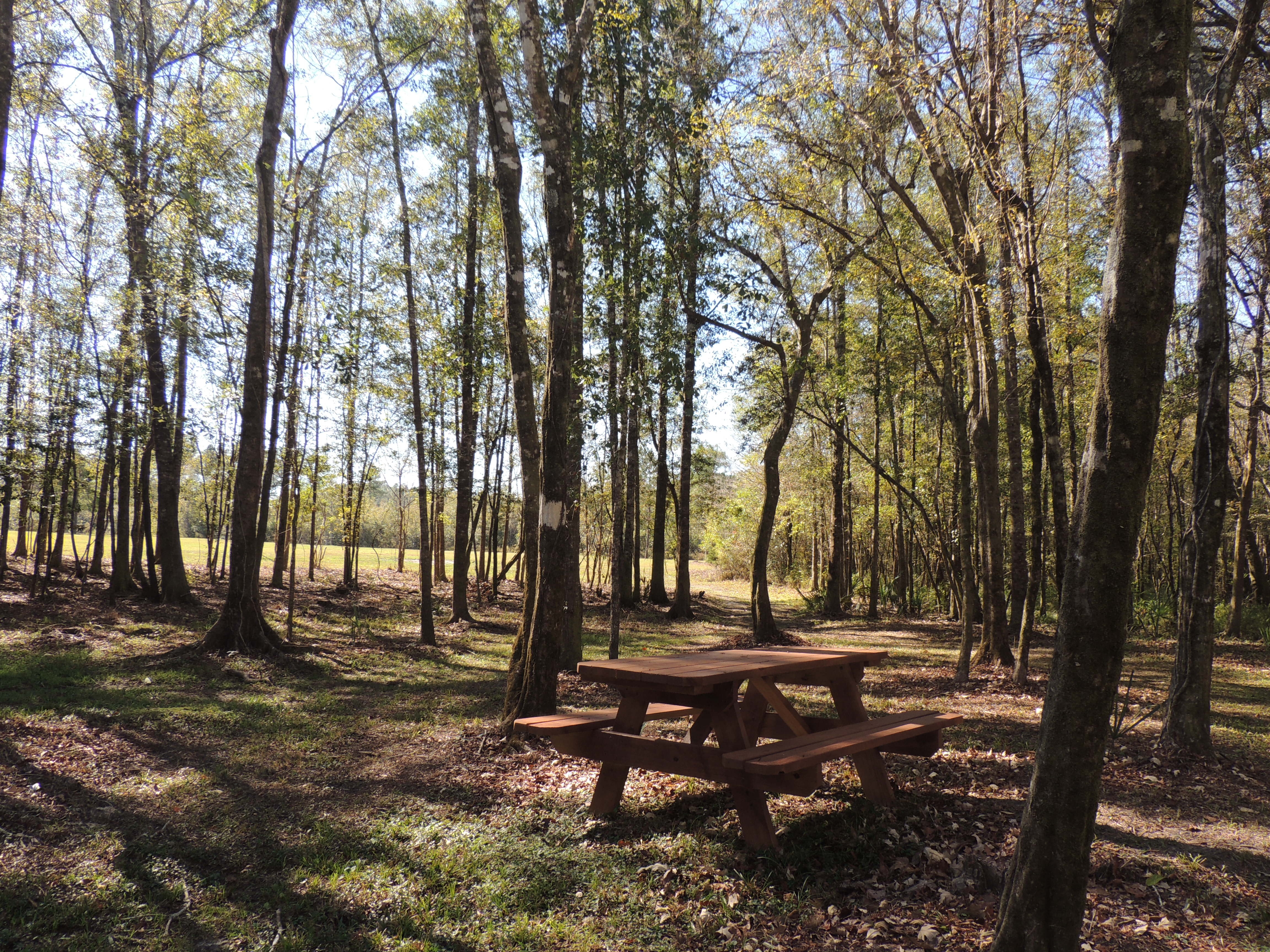 Holmes Creek Camping & RV Resort