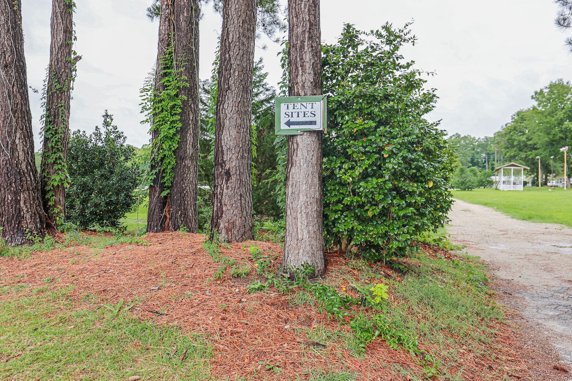 Cabin Creek Campground